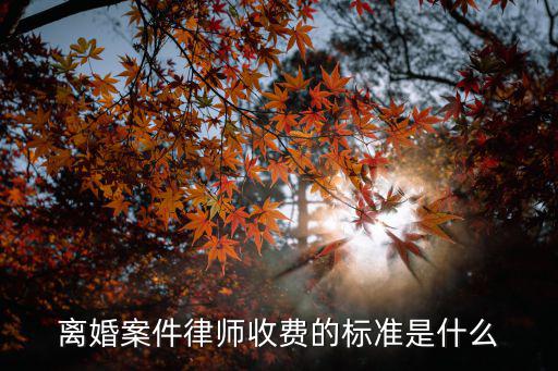 離婚案件律師收費(fèi)的標(biāo)準(zhǔn)是什么