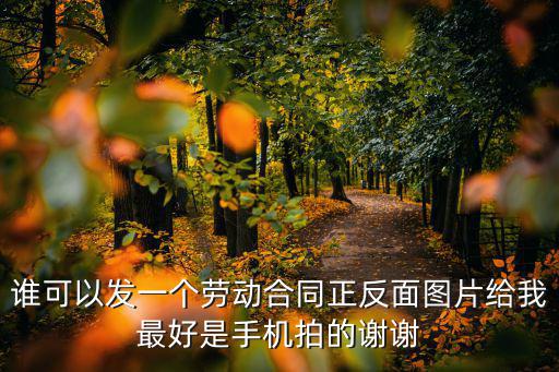 誰可以發(fā)一個勞動合同正反面圖片給我最好是手機(jī)拍的謝謝