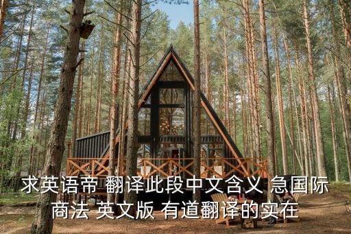 國際商法韓永紅翻譯，國際商法