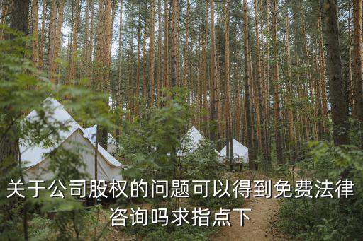 關(guān)于公司股權(quán)的問題可以得到免費(fèi)法律咨詢嗎求指點(diǎn)下