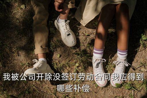 我被公司開除沒簽訂勞動(dòng)合同我應(yīng)得到哪些補(bǔ)償