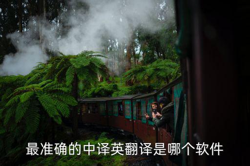最準(zhǔn)確的中英互譯翻譯器，最準(zhǔn)確的中譯英翻譯是哪個(gè)軟件