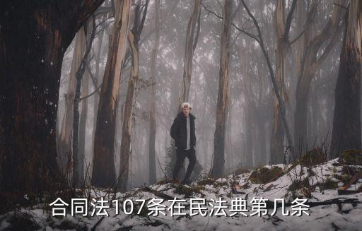 合同法107條在民法典第幾條