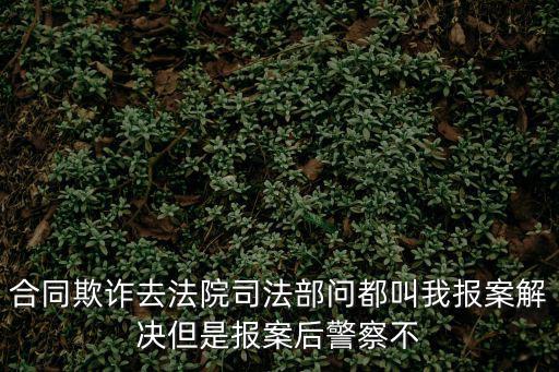 合同欺詐去法院司法部問都叫我報(bào)案解決但是報(bào)案后警察不