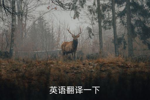 英語翻譯一下