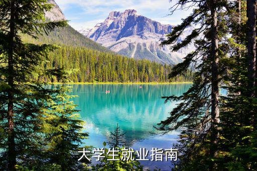 大學(xué)生就業(yè)法律指導(dǎo)，大學(xué)生的就業(yè)方向指導(dǎo)