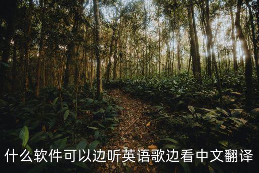 聽英語翻譯成中文的小程序，有沒有可以把英語翻譯成漢語的網(wǎng)絡(luò)翻譯器啊
