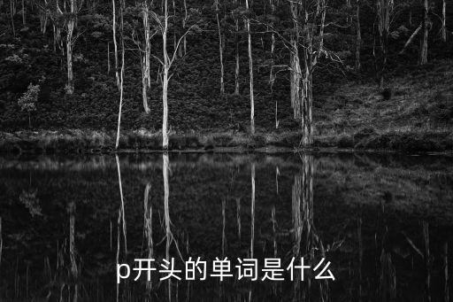 p開頭的單詞是什么