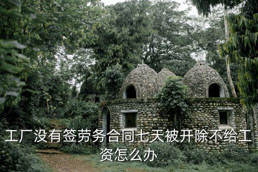 工廠沒(méi)有簽勞務(wù)合同七天被開(kāi)除不給工資怎么辦