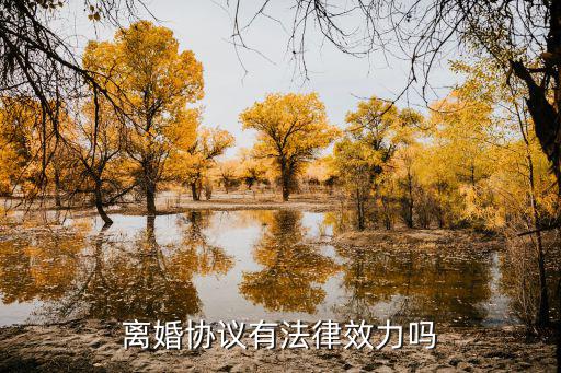 離婚協(xié)議有法律效力嗎