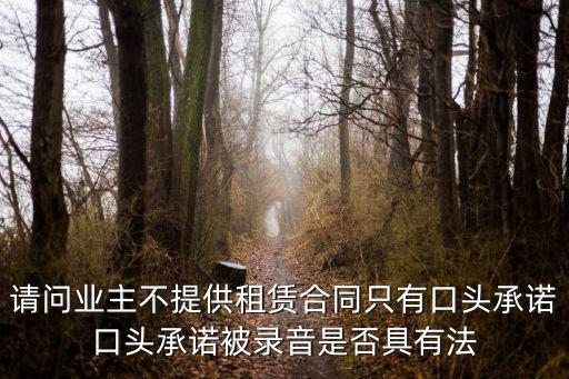 請問業(yè)主不提供租賃合同只有口頭承諾口頭承諾被錄音是否具有法