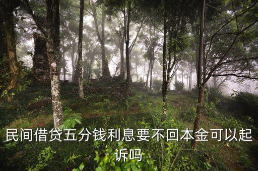 借款五分利息能打官司嗎，民間借貸五分錢利息要不回本金可以起訴嗎