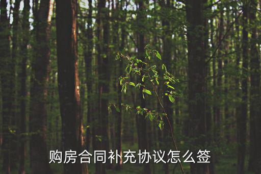 購房合同補(bǔ)充協(xié)議怎么寫，購房合同補(bǔ)充協(xié)議怎么簽