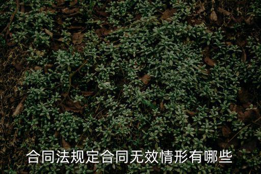 無(wú)效合同條款的情形，合同中無(wú)效條款有哪些