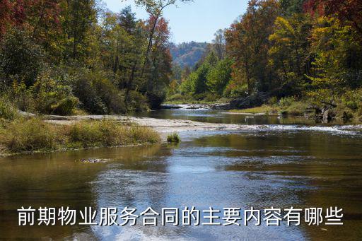 前期物業(yè)服務(wù)合同模板，前期物業(yè)服務(wù)合同的主要內(nèi)容有哪些