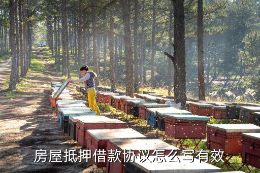 房屋抵押借款協(xié)議怎么寫有效