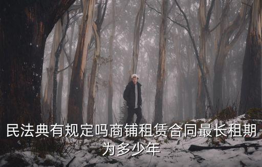 民法典有規(guī)定嗎商鋪?zhàn)赓U合同最長(zhǎng)租期為多少年