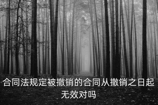 合同法規(guī)定被撤銷的合同從撤銷之日起無效對嗎