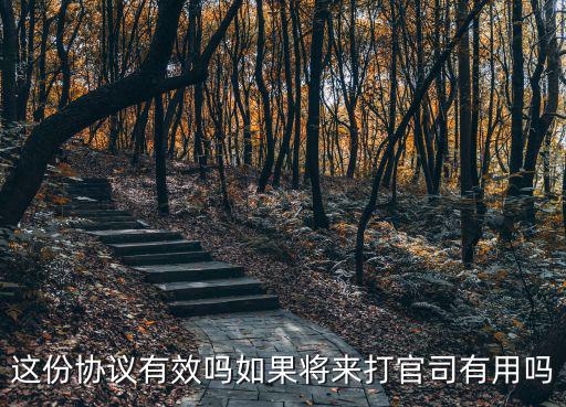 這份協(xié)議有效嗎如果將來(lái)打官司有用嗎