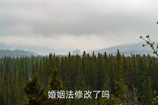民法典婚姻法草案修改，婚姻法修正案