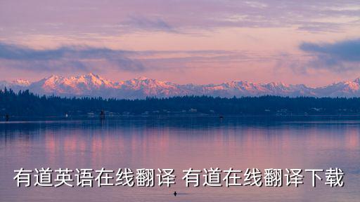 有道英語在線翻譯 有道在線翻譯下載