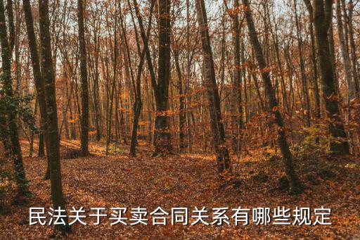 民法典買賣合同的規(guī)定，民法關(guān)于買賣合同關(guān)系有哪些規(guī)定