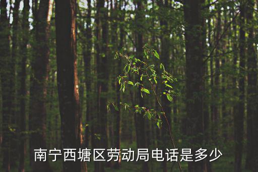 南寧勞動仲裁在線咨詢電話是多少，南寧西塘區(qū)勞動局電話是多少