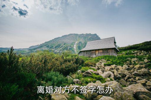 離婚對(duì)方不簽字怎辦