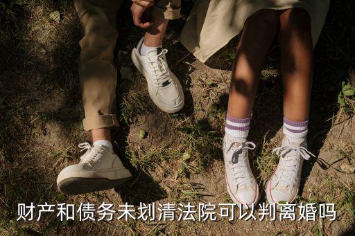 財產(chǎn)和債務(wù)未劃清法院可以判離婚嗎