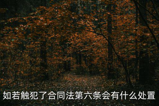 如若觸犯了合同法第六條會有什么處置