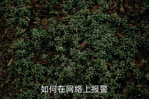 網(wǎng)上報(bào)案，如何到網(wǎng)上報(bào)警