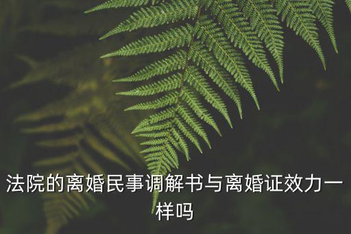 法院的離婚民事調(diào)解書與離婚證效力一樣嗎