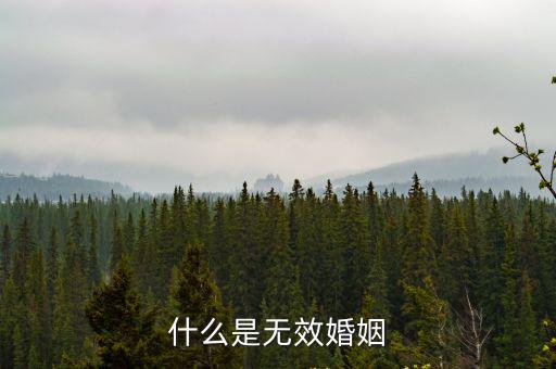 什么是無效婚姻