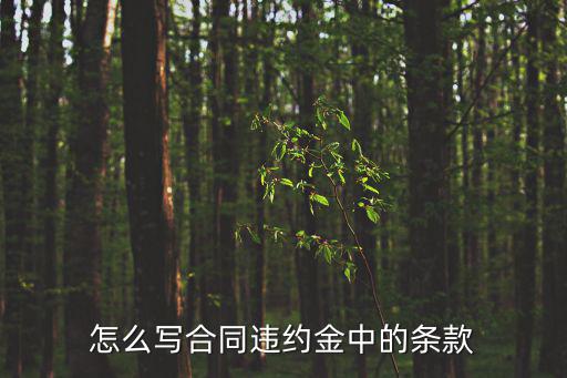 違約金條款怎么寫，怎么寫合同違約金中的條款
