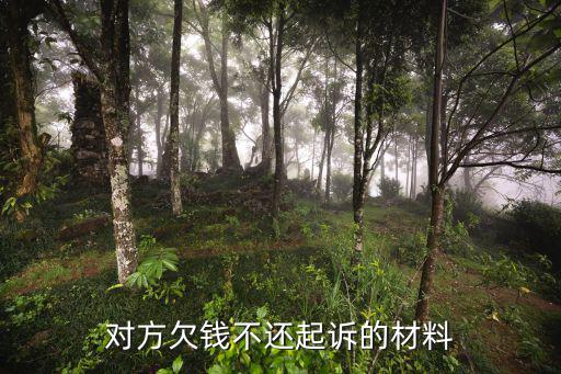 怎么樣起訴欠錢不還的人證據(jù)，朋友欠錢不還無欠條該收集哪些信息可作為證據(jù)該怎樣訴訟