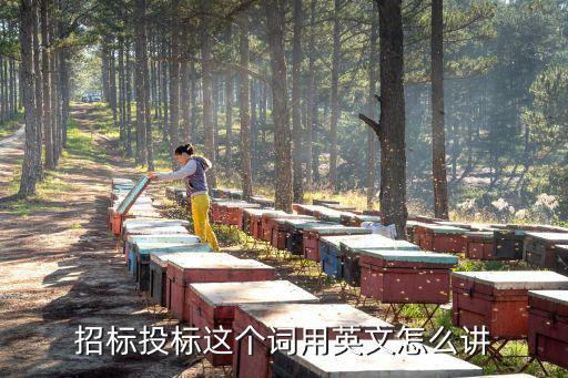 公開招標(biāo)英文，招標(biāo)投標(biāo)英文怎么說