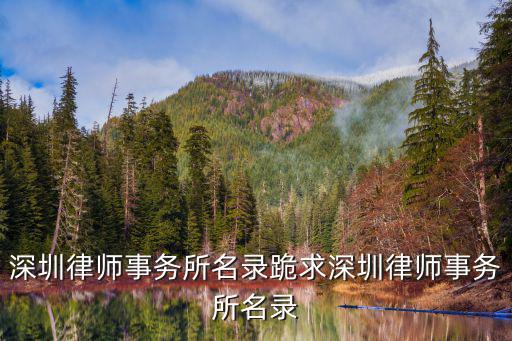 深圳律師事務(wù)所前十名排行榜，深圳知名律師事務(wù)所