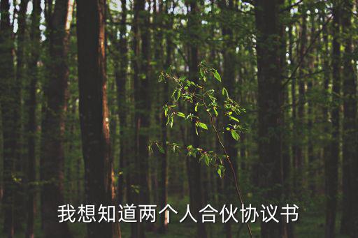 我想知道兩個人合伙協(xié)議書