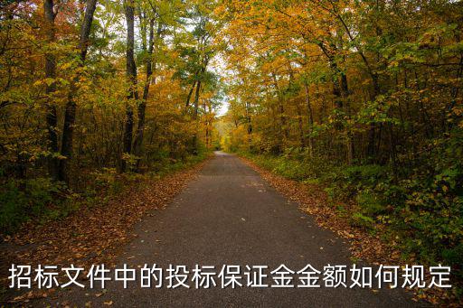 招標文件中的投標保證金金額如何規(guī)定