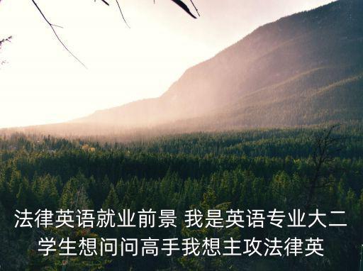 法律英語翻譯的前景，法律翻譯英語和法語哪個前景好