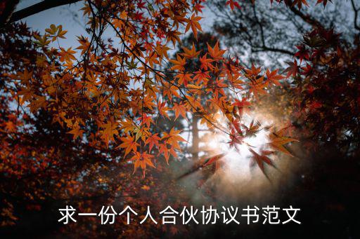 合伙經(jīng)營協(xié)議書合同，求一份個(gè)人合伙協(xié)議書范文