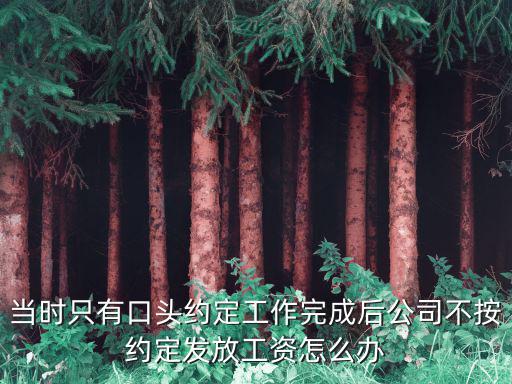 勞動法口頭約定工資，勞動合同中工資項未填定只是有口頭的約定這樣的合同有法律效力