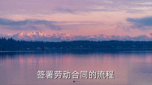 簽合同的正確流程的語(yǔ)言有哪些，簽署勞動(dòng)合同的流程