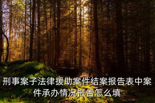 刑事案子法律援助案件結(jié)案報告表中案件承辦情況報告怎么填