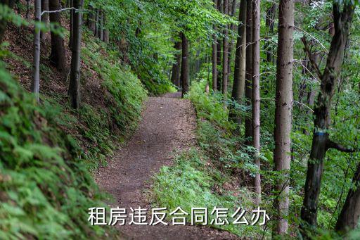 租房合同不符合怎么辦，租房合同不滿意怎么辦