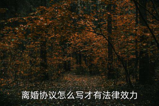 離婚協(xié)議怎么寫才有法律效力