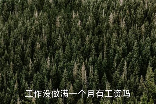 工作沒做滿一個(gè)月有工資嗎