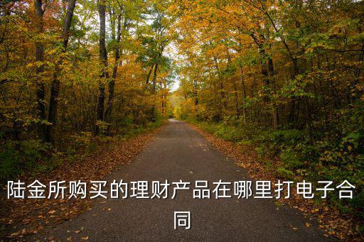 陸金所購買的理財(cái)產(chǎn)品在哪里打電子合同