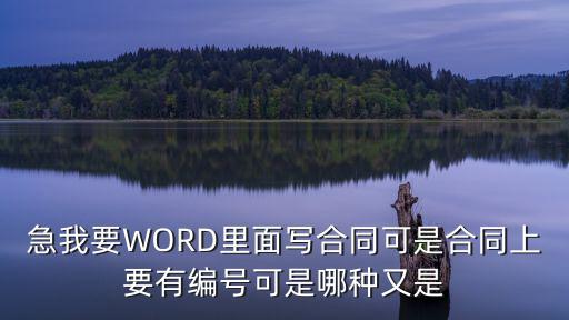 電子合同協(xié)議編號，急我要WORD里面寫合同可是合同上要有編號可是哪種又是