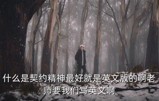 什么是契約精神最好就是英文版的啊老師要我們寫英文啊